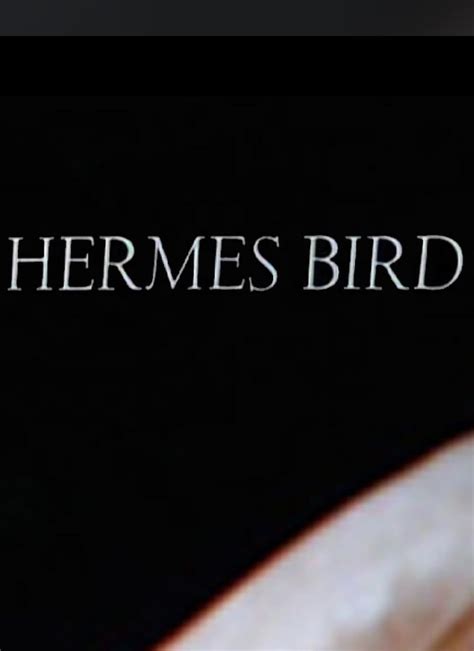 hermes bird 1979|Hermes Bird (1979) Stream and Watch Online .